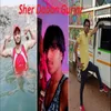 About Sher Daban Gurjar Song