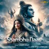 About Shambhu Nath Song