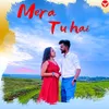 About Mera Tu Hain Song