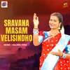 About Sravana Masam Velisindho Song