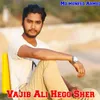 About Vajib Ali Hego Sher Song
