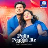 About Puilu Napam Re Song