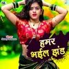 About Hamar Bhail Jhand Song