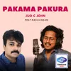 About Pakama Pakura Song