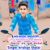 About Pistal Ler Ghum Bhayelo Song