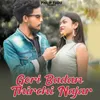 Gori Badan Thirchi Najar