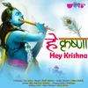 About Hey Krishna Song