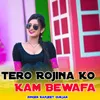 Tero Rojina Ko Kam Bewafa