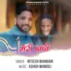 About Meri Dadi Song