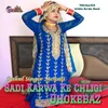 About Sadi Karwa Ke Chligi Dhokebaz Song