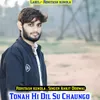 About Tonah Hi Dil Su Chaungo Song