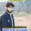 Tonah Hi Dil Su Chaungo