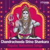 Shri Shankaraya Namo Namah