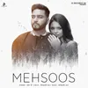 About Mehsoos Song