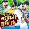 About Pta Lailiyo Madhubani Ghuma Ke Song