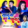 About Yadav Ji Ka Pavar Song