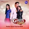 Kedar Gouri Tension 01