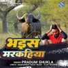 About Bhains Marakahiya Song