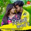 About Diwani Banaye Re Song