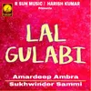 About Lal Gulabi Song