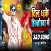 About Dil Dhake Sinhorwa Me Song