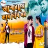 About Bhalobase Kore Dili Por Song