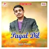 About Pagal Dil Song