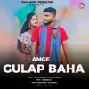 About Amge Gulap Baha Song