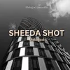 About SHEEDA SHOT Song