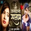 About Satbarti Sanam Song