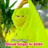 Dilsad Singer Sr 8080