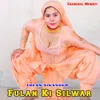 About Fulan Ki Silwar Song