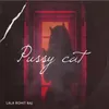 About Pussy cat Song
