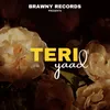 About Teri Yaad Song