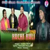 About Kuchi Kuli Song