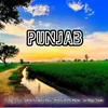 About Punjab Song