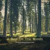 About A Day In The Woods Song