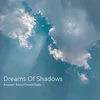 About Dreams Of Shadows Song