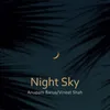 About Night Sky Song