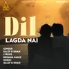 About Dil Lagda Nai Song