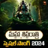 About Maha Shivaratri Special Song 2024 Song