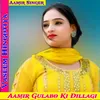 About Aamir Gulabo Ki Dillagi Song