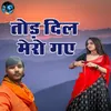 About Todh Dil Mero Gaye Song