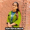 About Padal Digii Ka Mela M Song