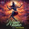 About Namo Namo Song