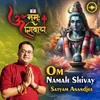 Om Namah Shivay Satyam Anandjee