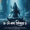 About Om Namah Shivay Song