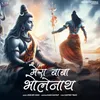 About Mera Baba Bholenath Song