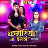 About Kamariya Na Hili - Remix Song