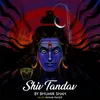 About Shiv Tandav Song